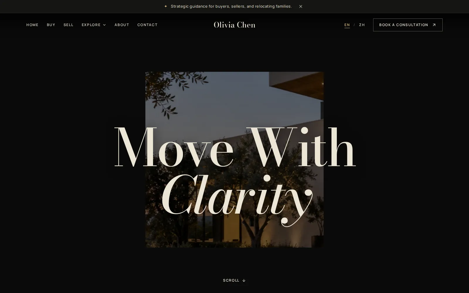 Noir theme